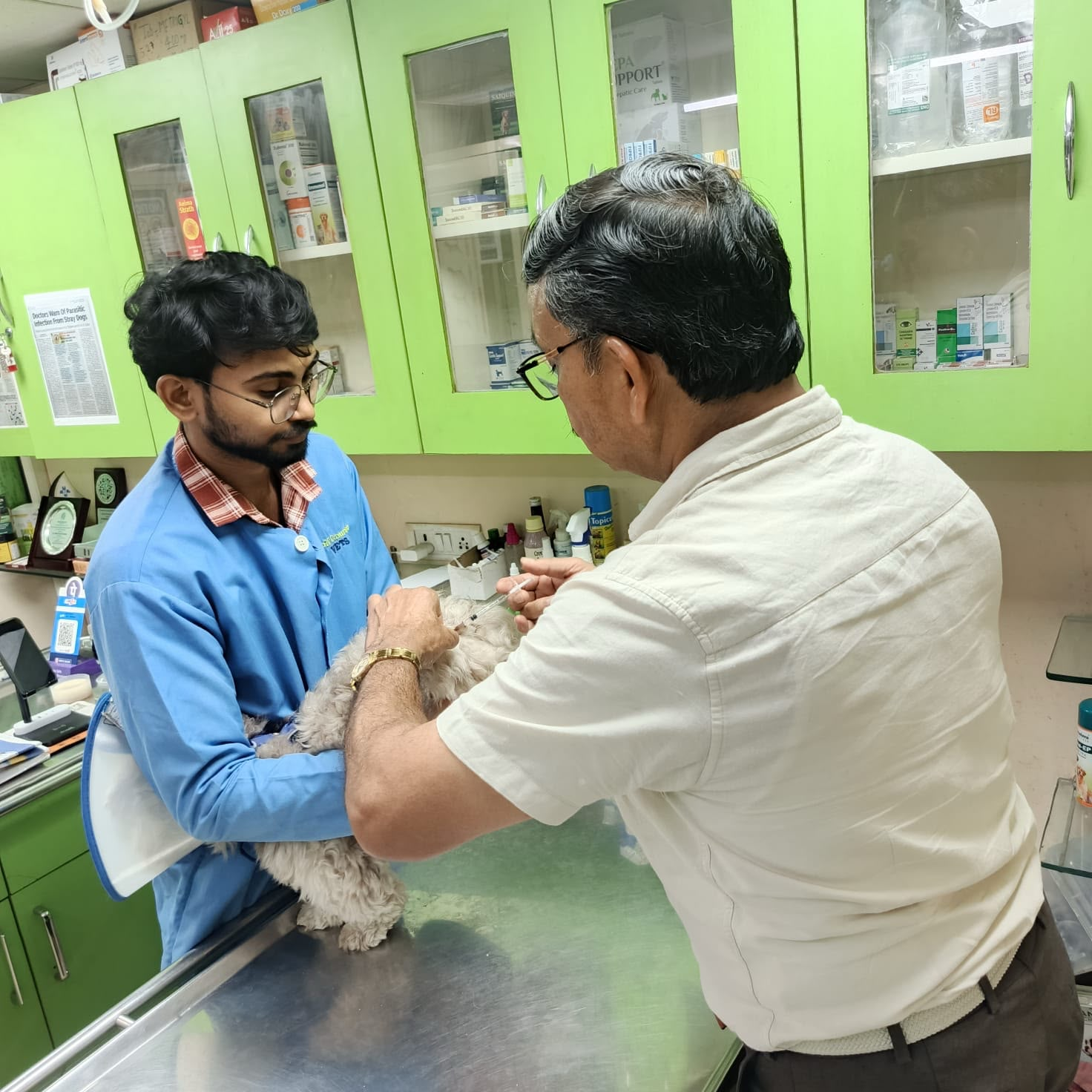 Dr. Sudhir Chauhan caring for a pet at the clinic